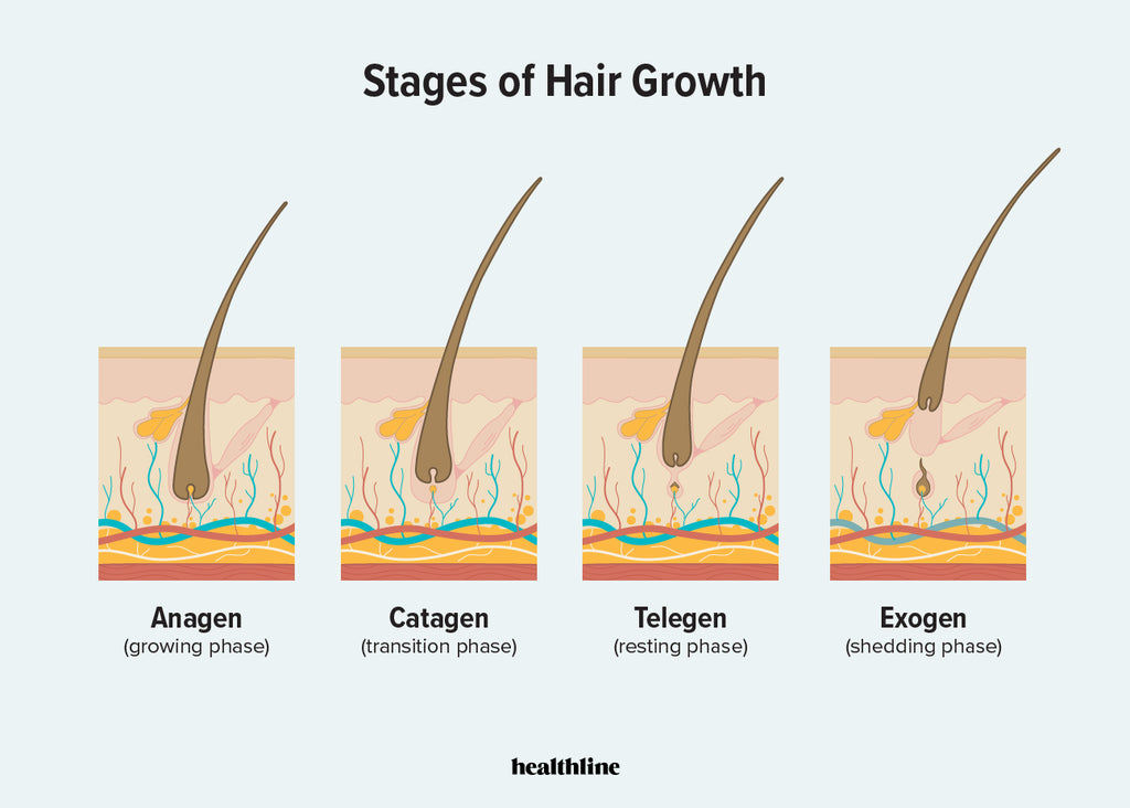 How PRIMAL HAIR Works