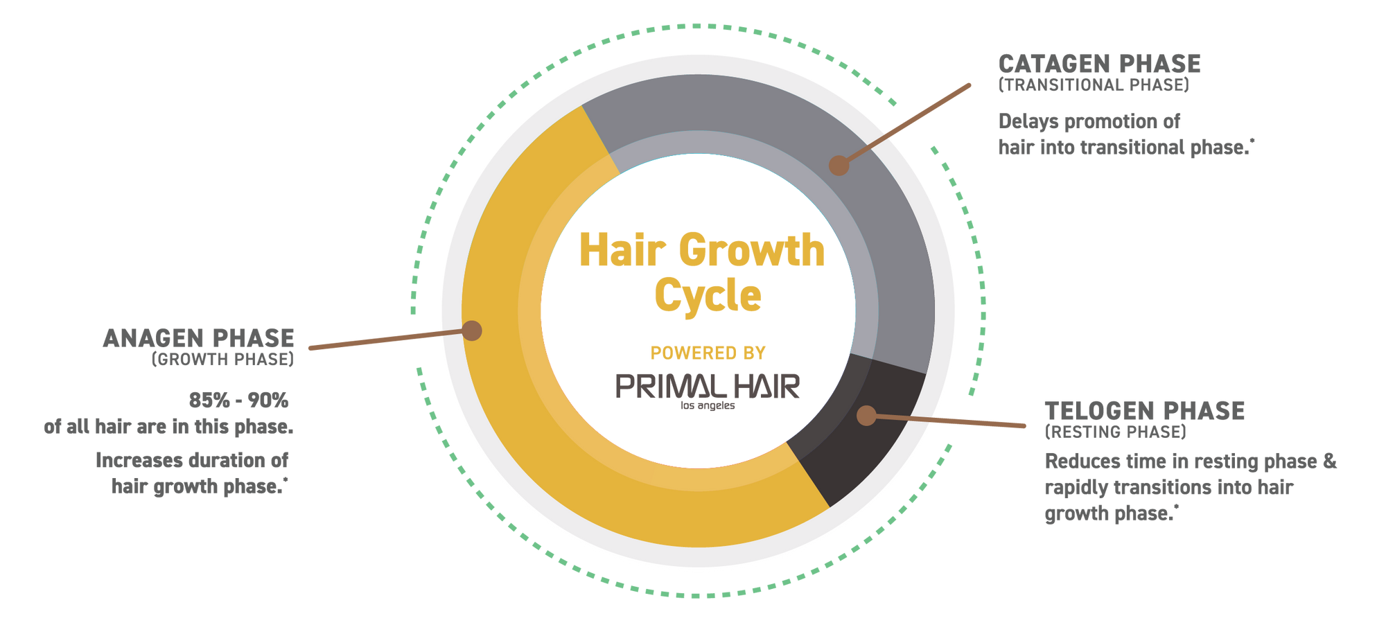 PRIMAL HAIR (9-Bottle Bundle) - Supplements For Hair Growth For Men & Women*